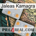 Kamagra Jellies 25